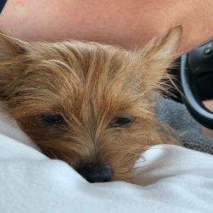 Meet your Posher, Terry